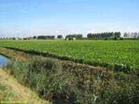 klik hier