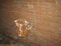 klik hier